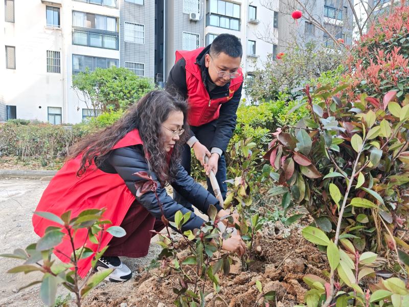 义务植树 践行生态文明理念 ——市公积金中心参加植树节志愿活动